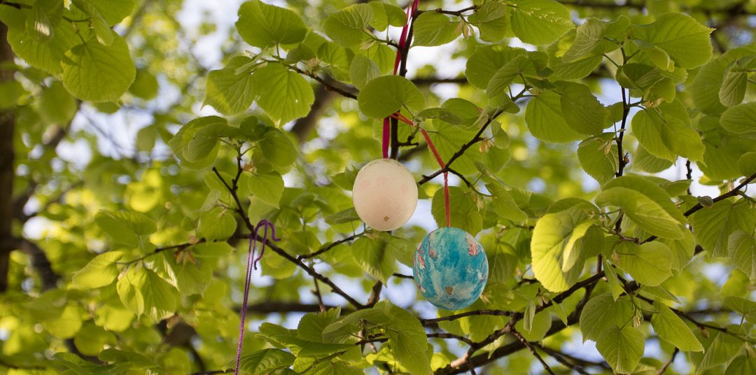 Ferienprogramm für die Osterferien