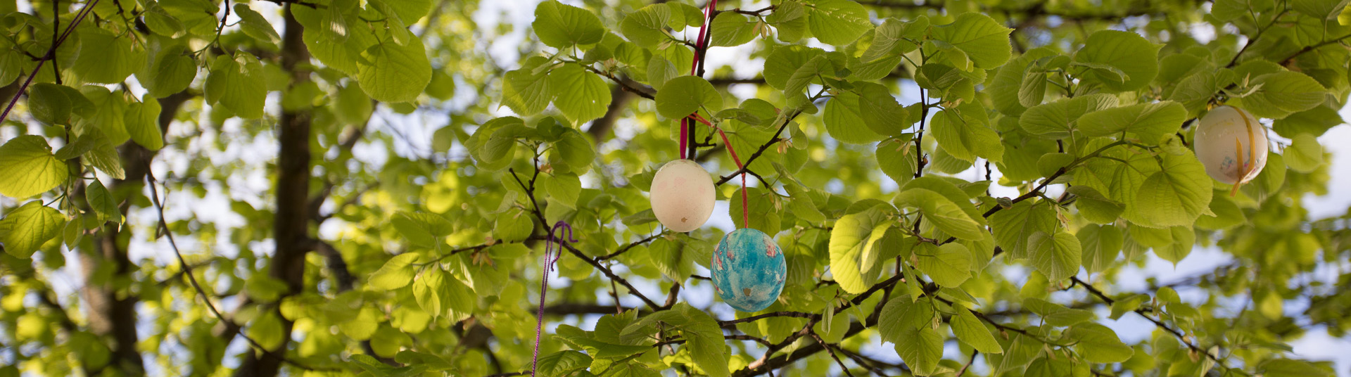 Ostereier am Baum auf dem Schulhof